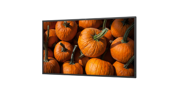 Buy 49 Inch IP66 Flicker Free Semi Outdoor Display Screen For Commercial Digital Signage online manufacture